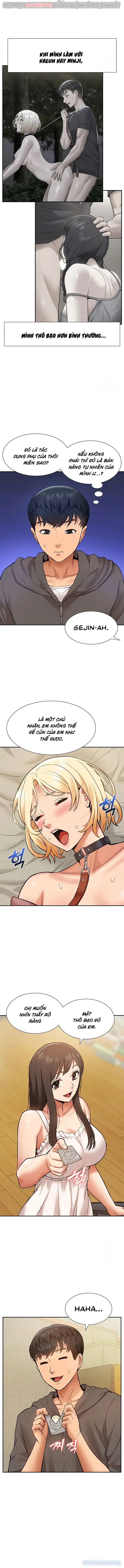 Dàn harem Idol nữ của tôi 
