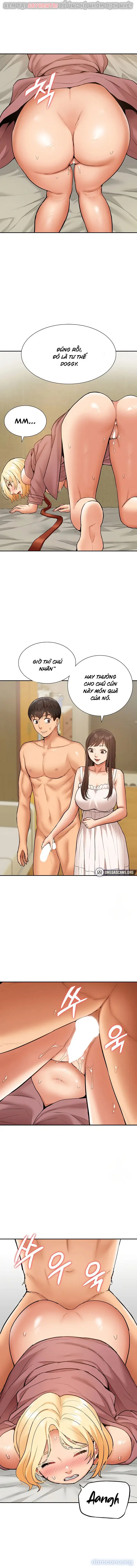 Dàn harem Idol nữ của tôi 