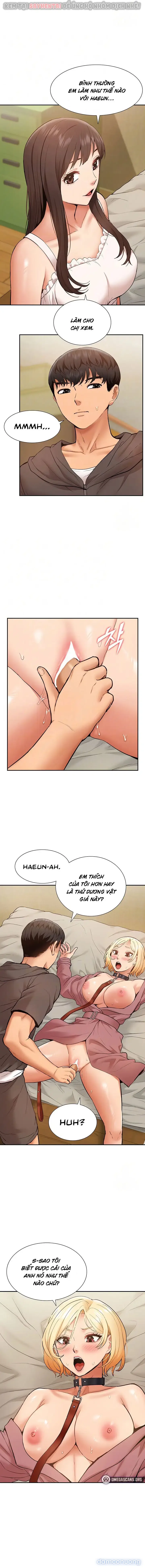 Dàn harem Idol nữ của tôi 