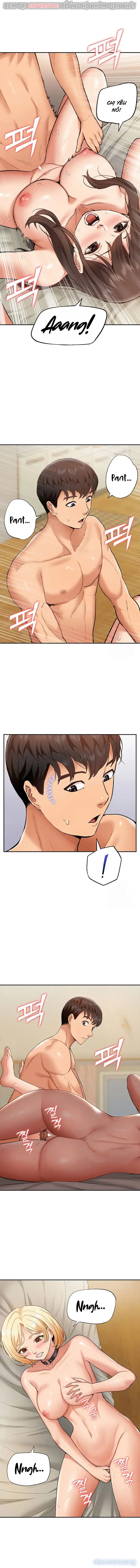 Dàn harem Idol nữ của tôi 