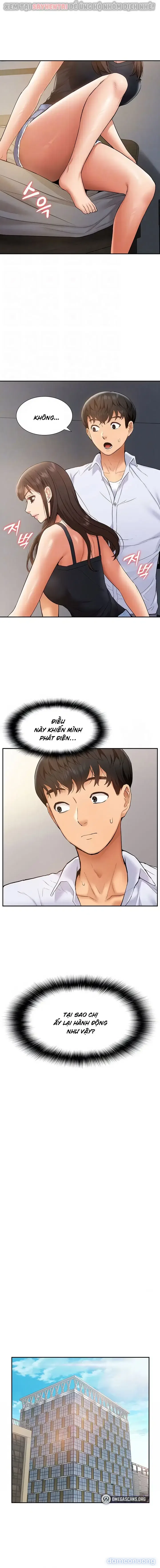Dàn harem Idol nữ của tôi 