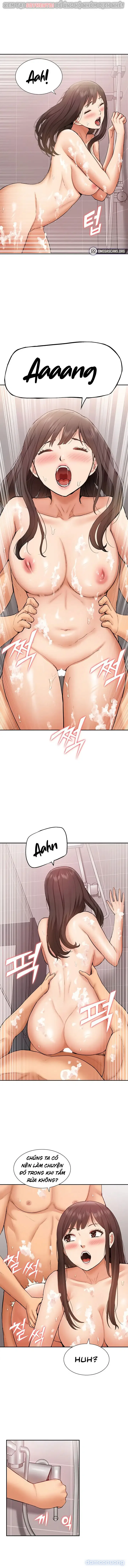 Dàn harem Idol nữ của tôi 