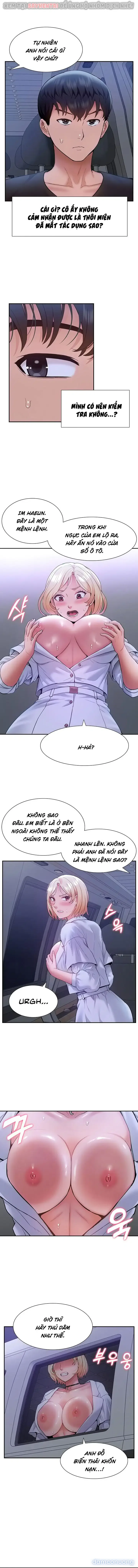 Dàn harem Idol nữ của tôi 