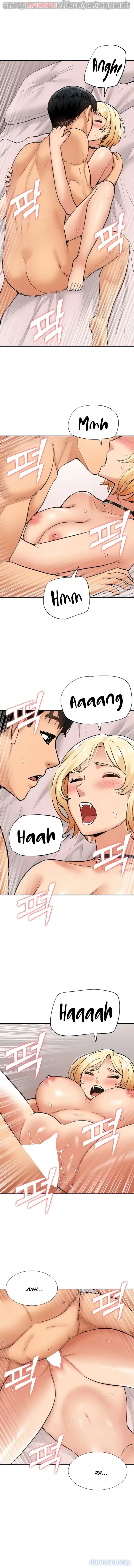 Dàn harem Idol nữ của tôi 