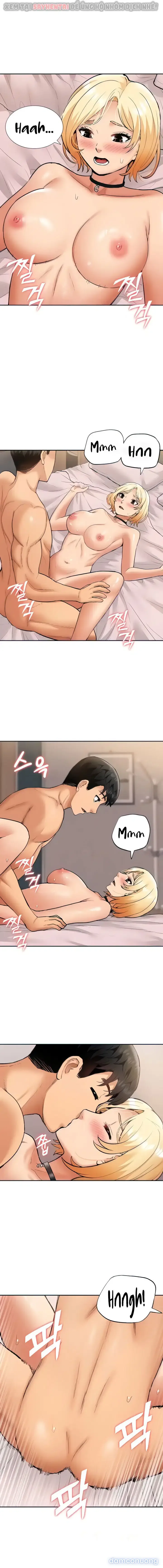 Dàn harem Idol nữ của tôi 