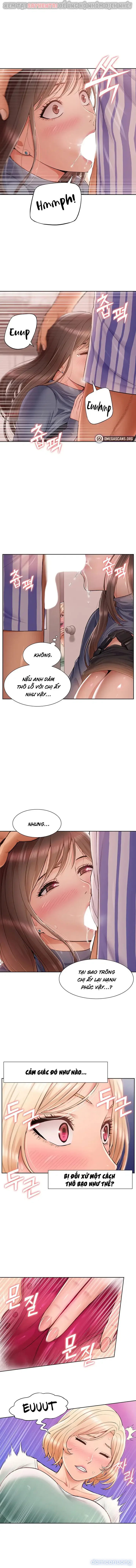 Dàn harem Idol nữ của tôi 