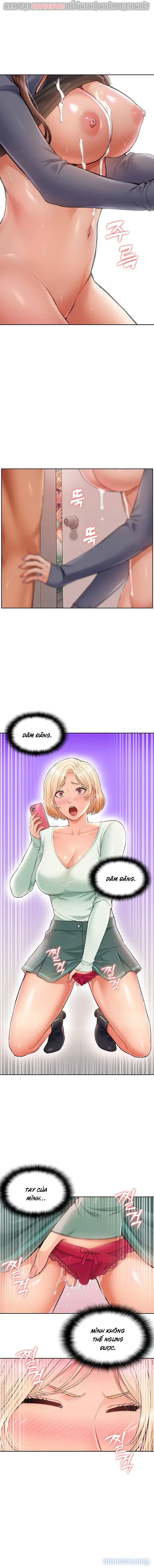 Dàn harem Idol nữ của tôi 