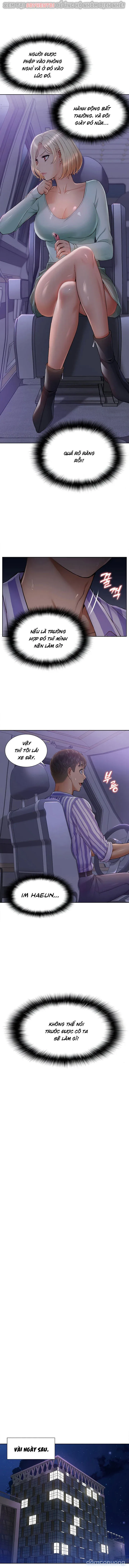 Dàn harem Idol nữ của tôi 