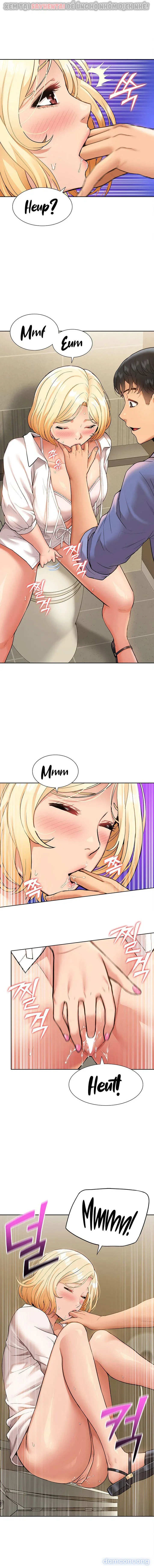 Dàn harem Idol nữ của tôi 