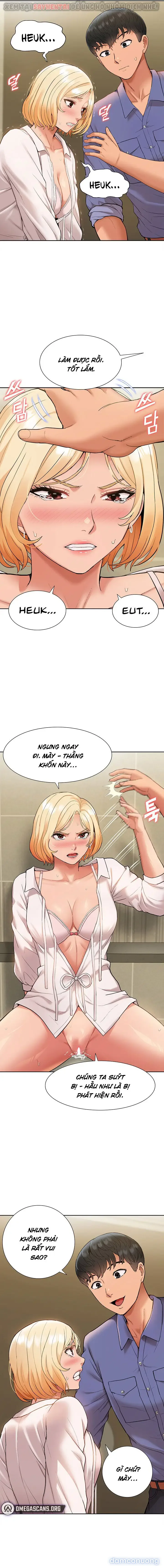 Dàn harem Idol nữ của tôi 
