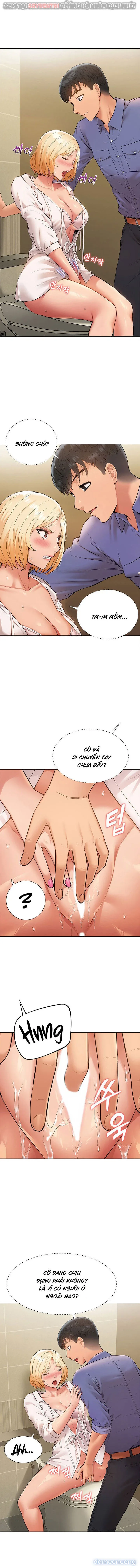Dàn harem Idol nữ của tôi 