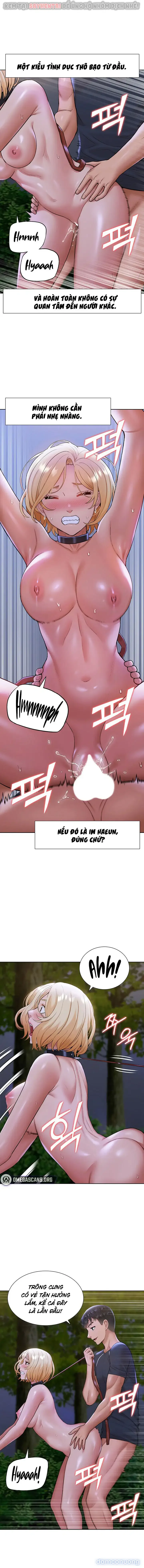 Dàn harem Idol nữ của tôi 