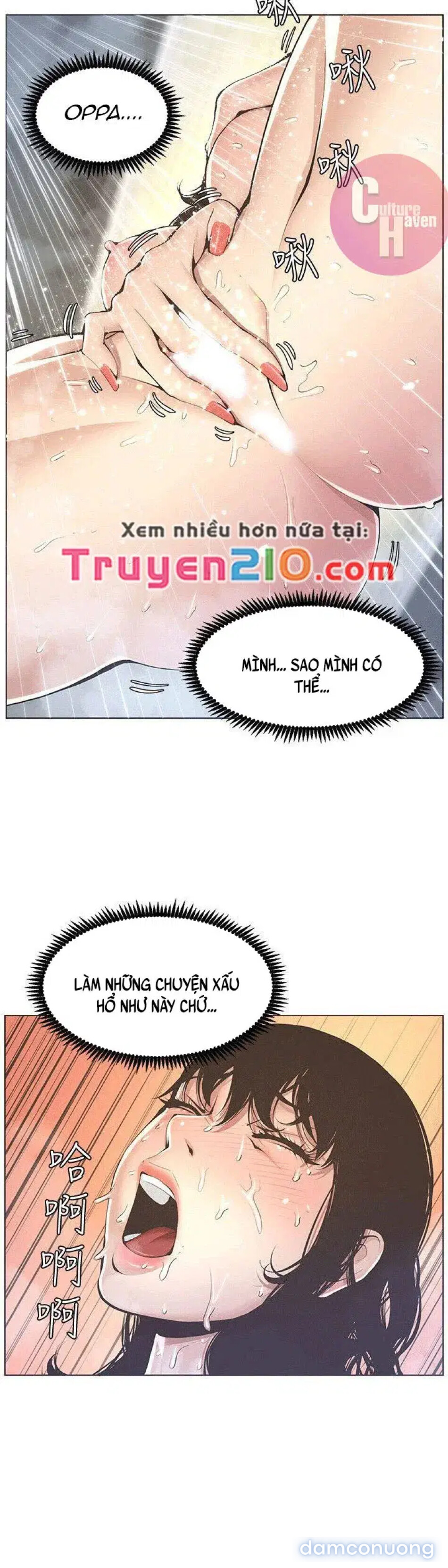 NGƯỜI BỐ DƯỢNG CỦA TÔI 
