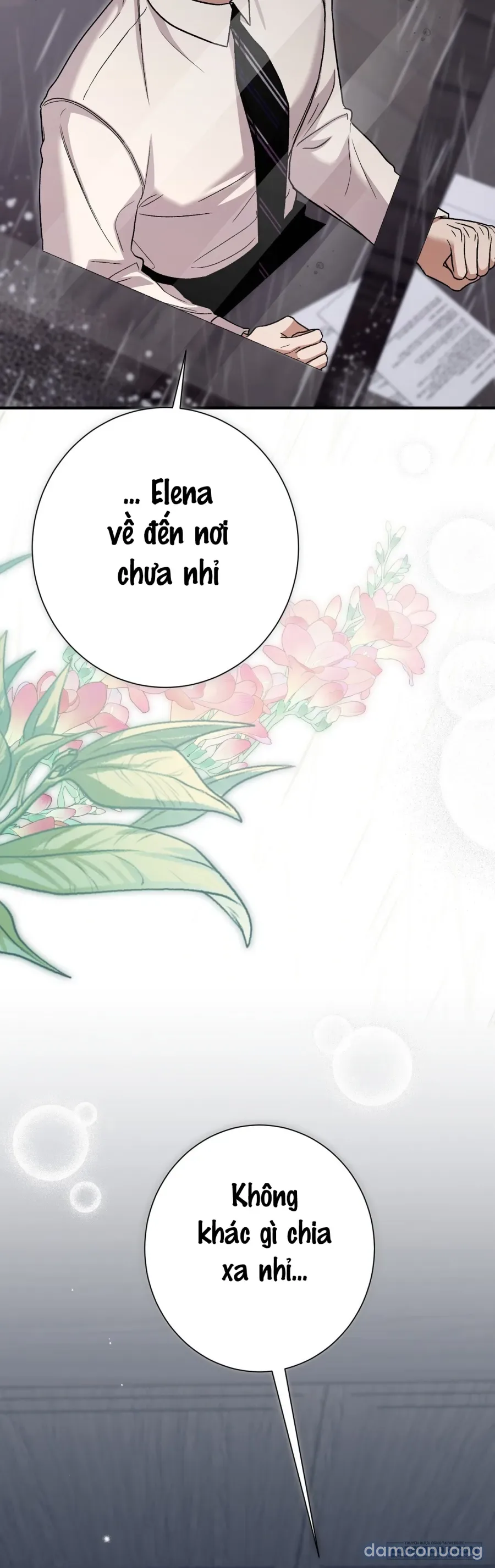 Cô Tiểu Thư Quá Đỗi Tò Mò 