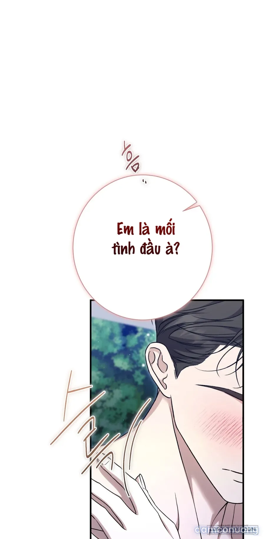 Cô Tiểu Thư Quá Đỗi Tò Mò 