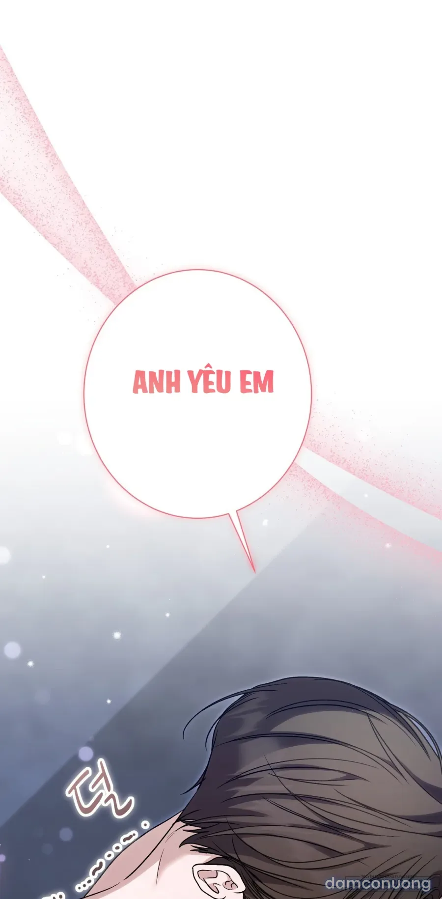 Cô Tiểu Thư Quá Đỗi Tò Mò 
