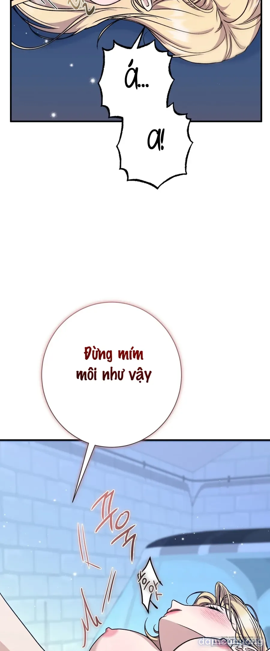 Cô Tiểu Thư Quá Đỗi Tò Mò 