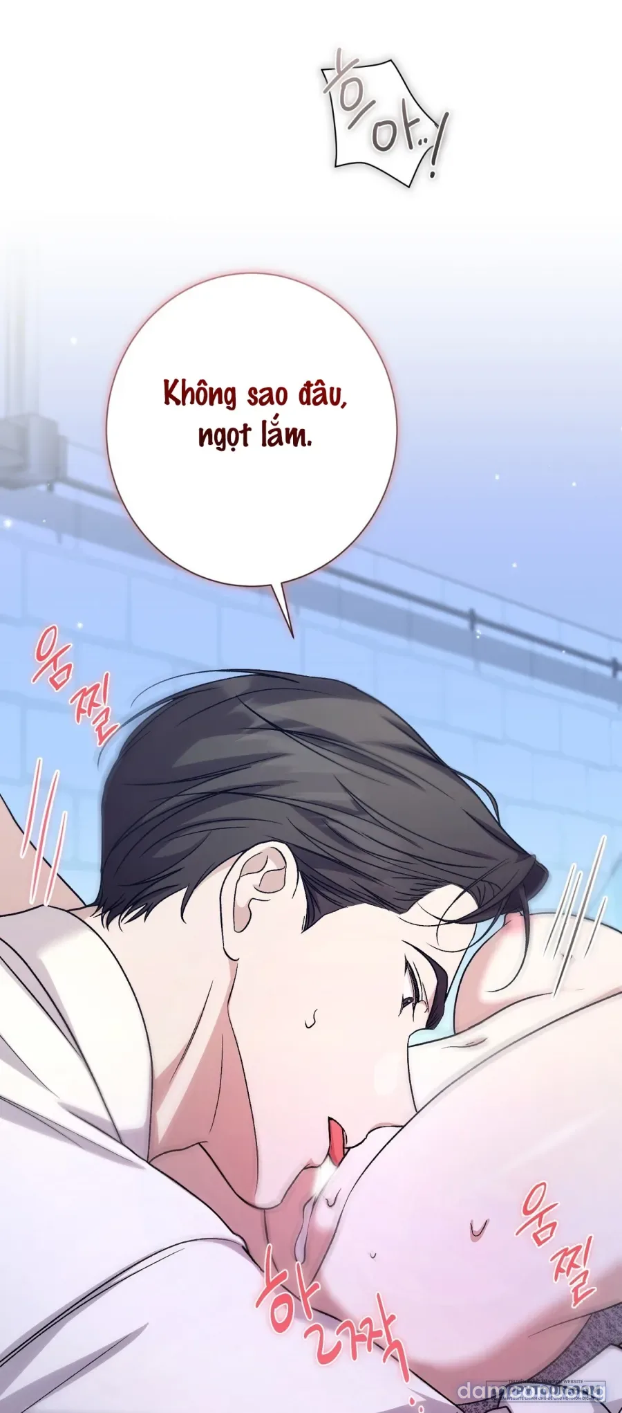 Cô Tiểu Thư Quá Đỗi Tò Mò 