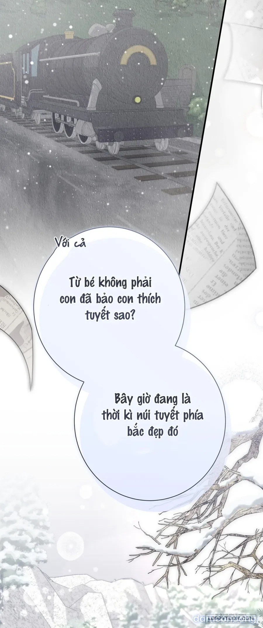 Cô Tiểu Thư Quá Đỗi Tò Mò 