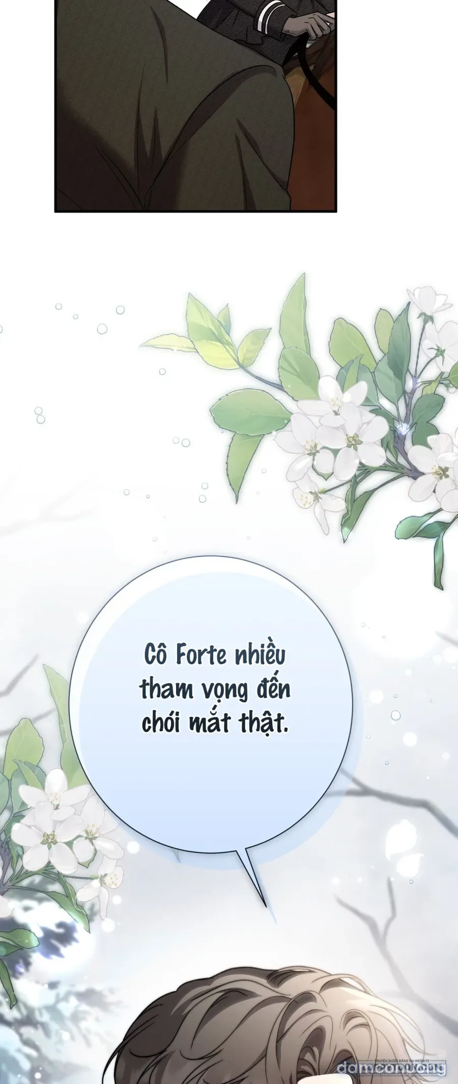Cô Tiểu Thư Quá Đỗi Tò Mò 