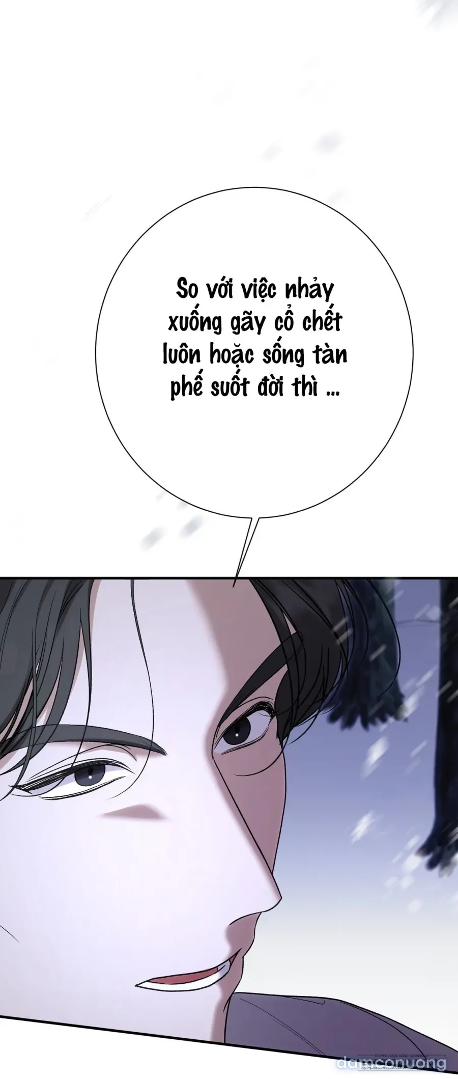 Cô Tiểu Thư Quá Đỗi Tò Mò 