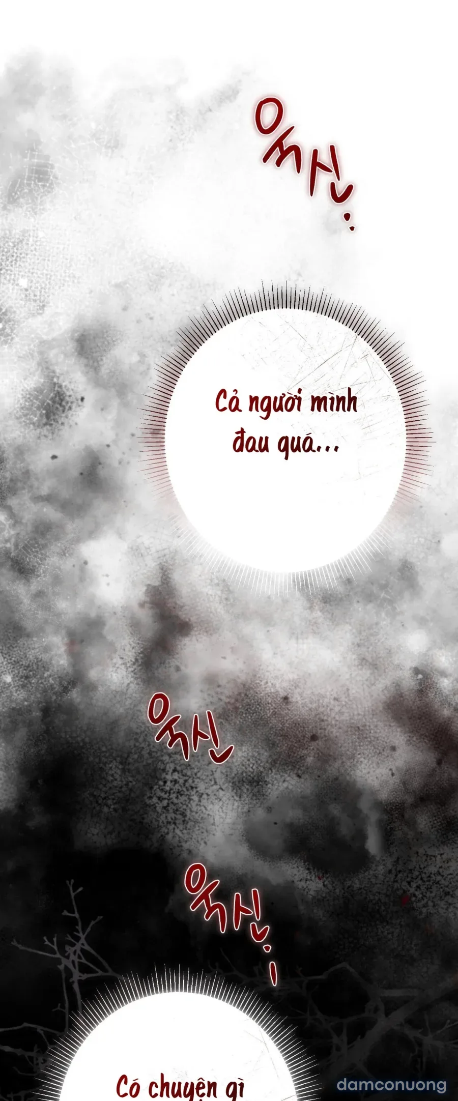 Cô Tiểu Thư Quá Đỗi Tò Mò 