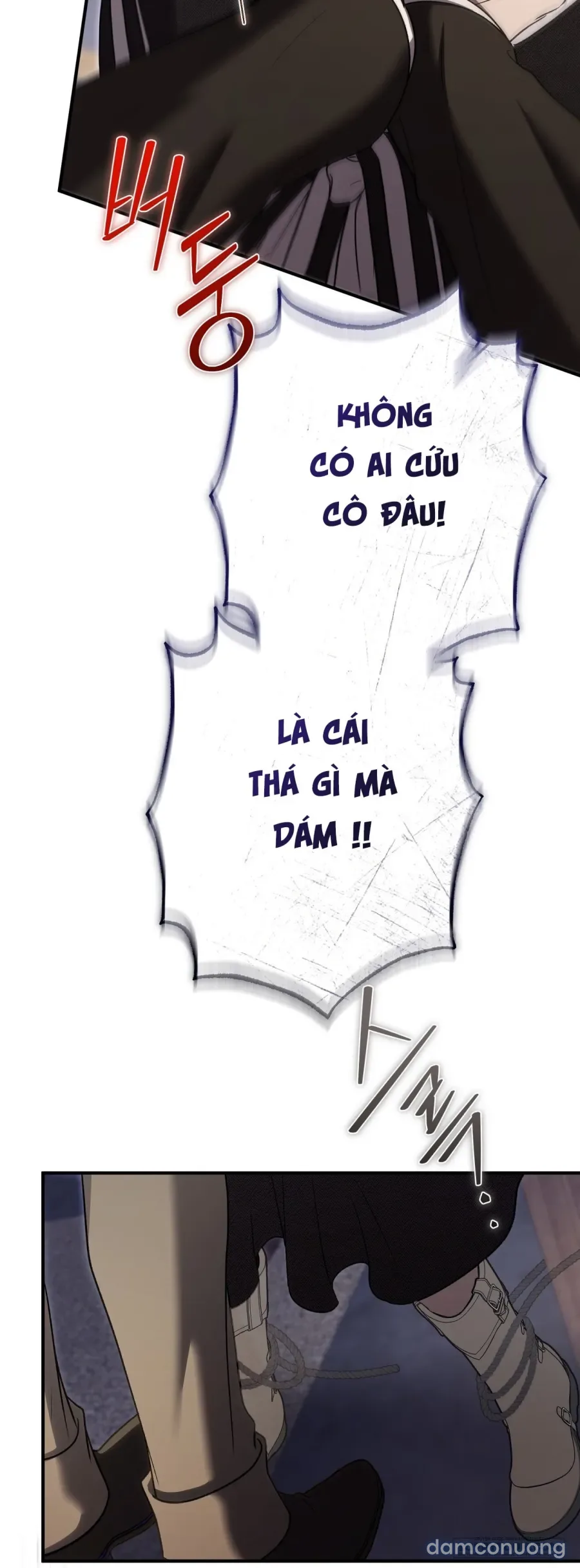Cô Tiểu Thư Quá Đỗi Tò Mò 