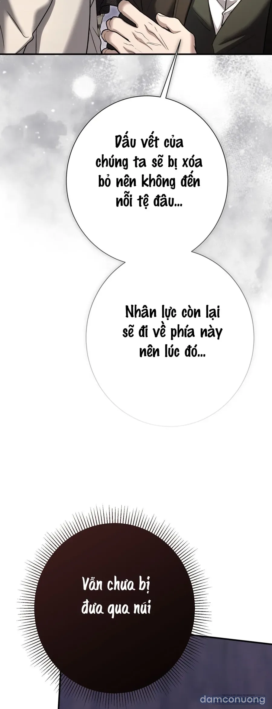 Cô Tiểu Thư Quá Đỗi Tò Mò 