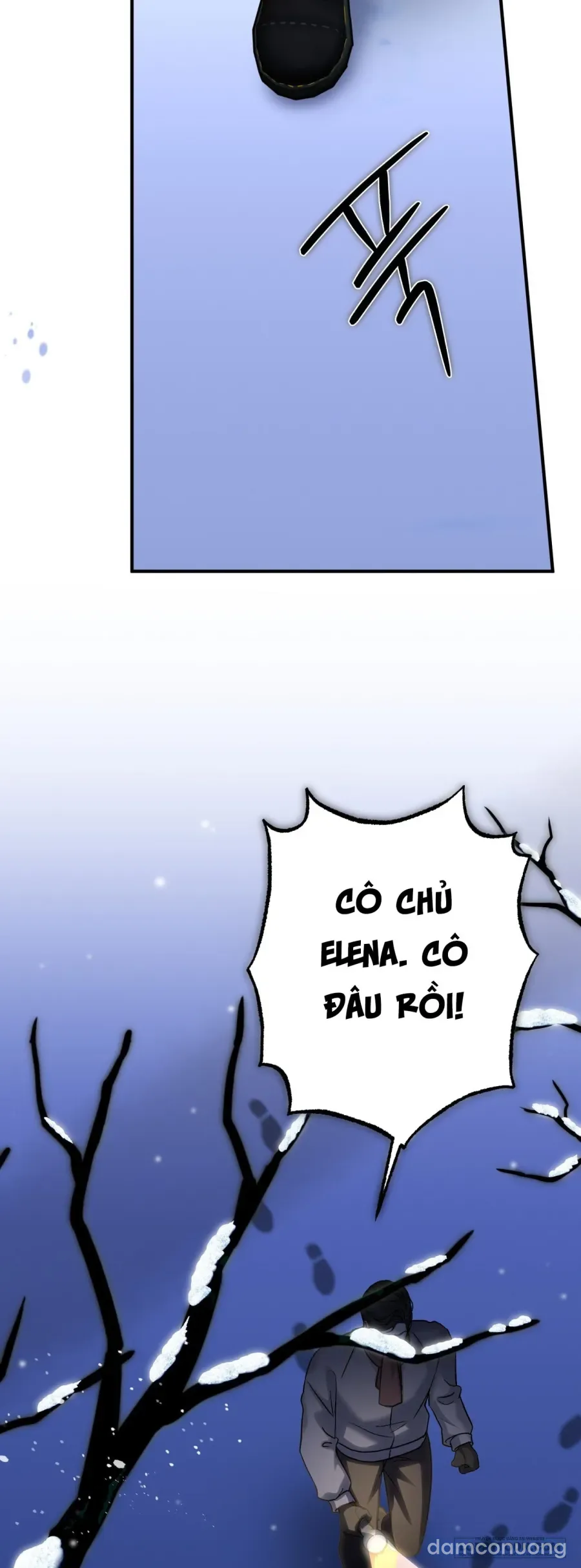 Cô Tiểu Thư Quá Đỗi Tò Mò 