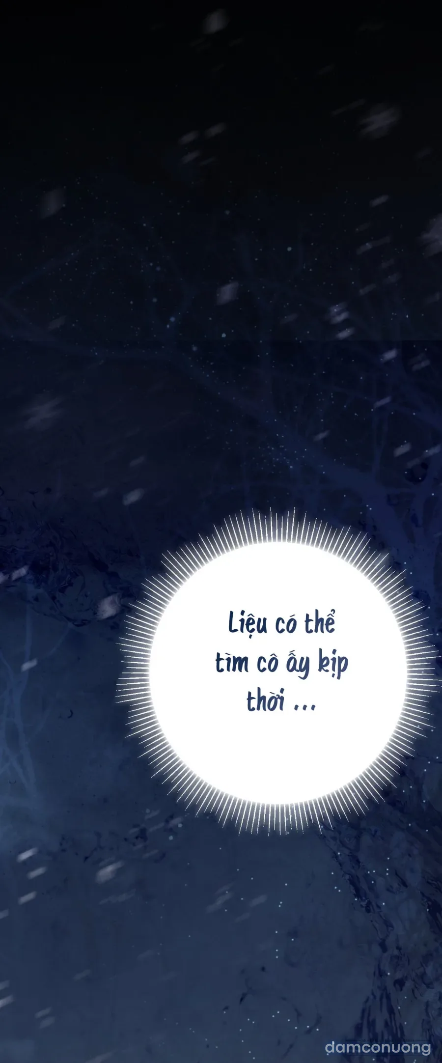 Cô Tiểu Thư Quá Đỗi Tò Mò 