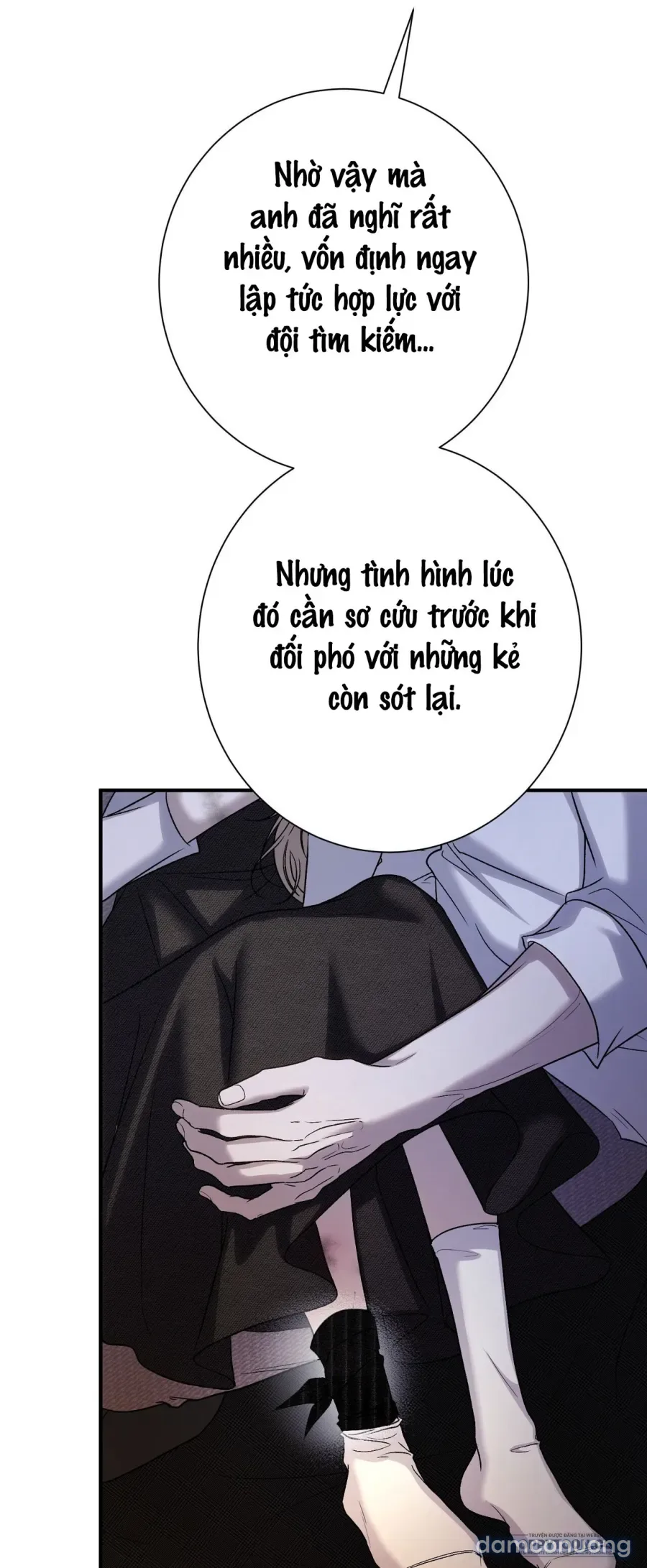 Cô Tiểu Thư Quá Đỗi Tò Mò 