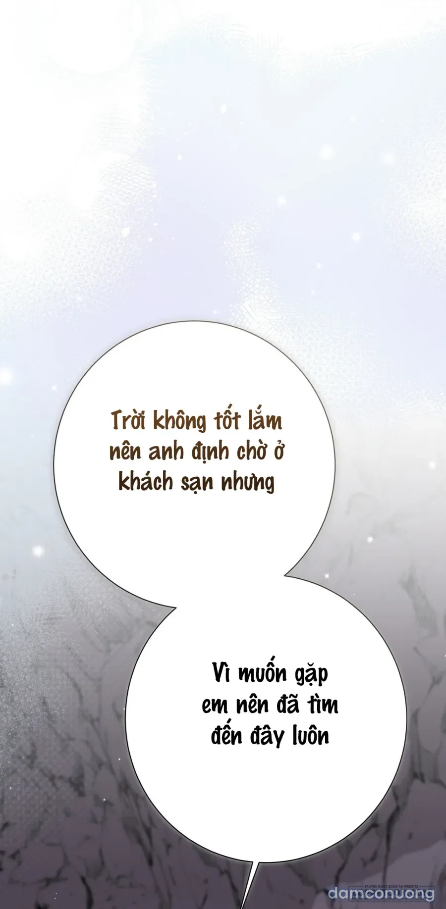 Cô Tiểu Thư Quá Đỗi Tò Mò 