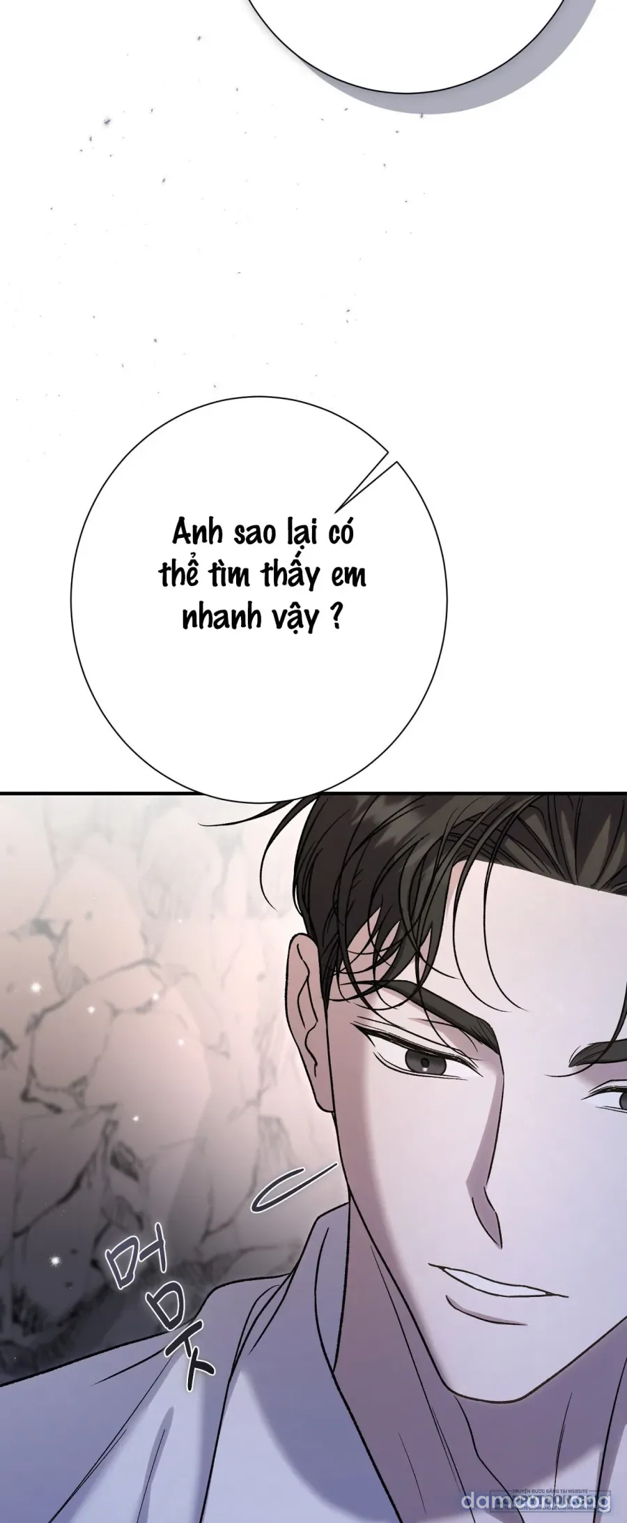 Cô Tiểu Thư Quá Đỗi Tò Mò 