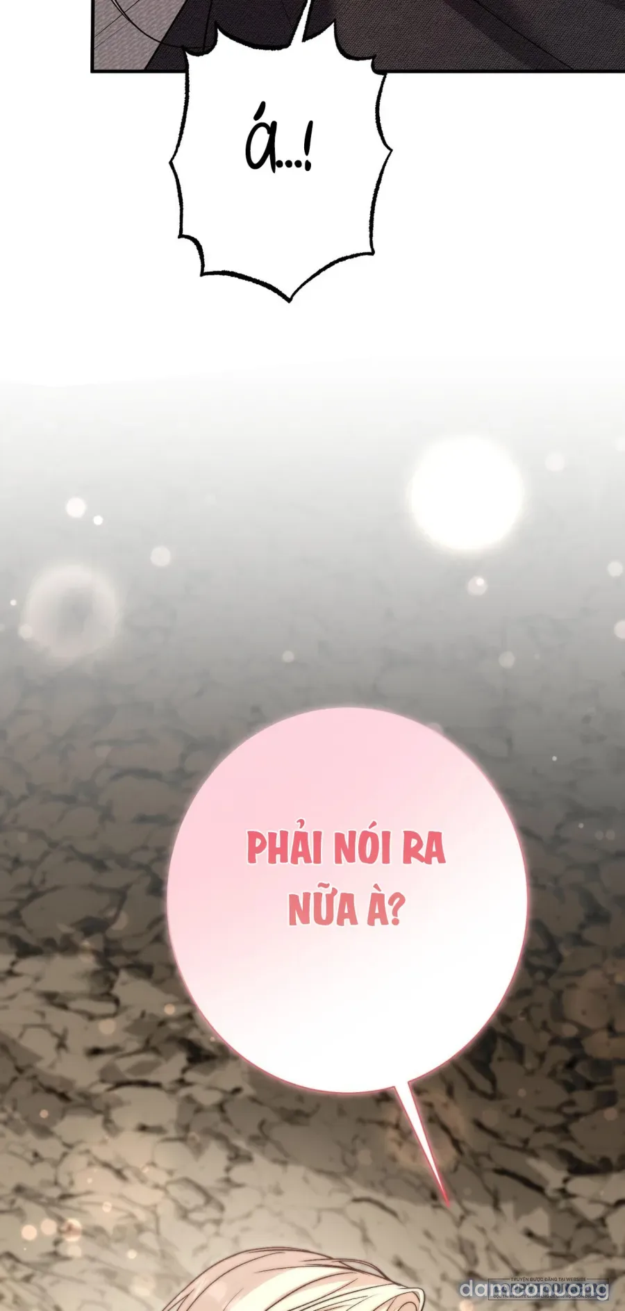 Cô Tiểu Thư Quá Đỗi Tò Mò 