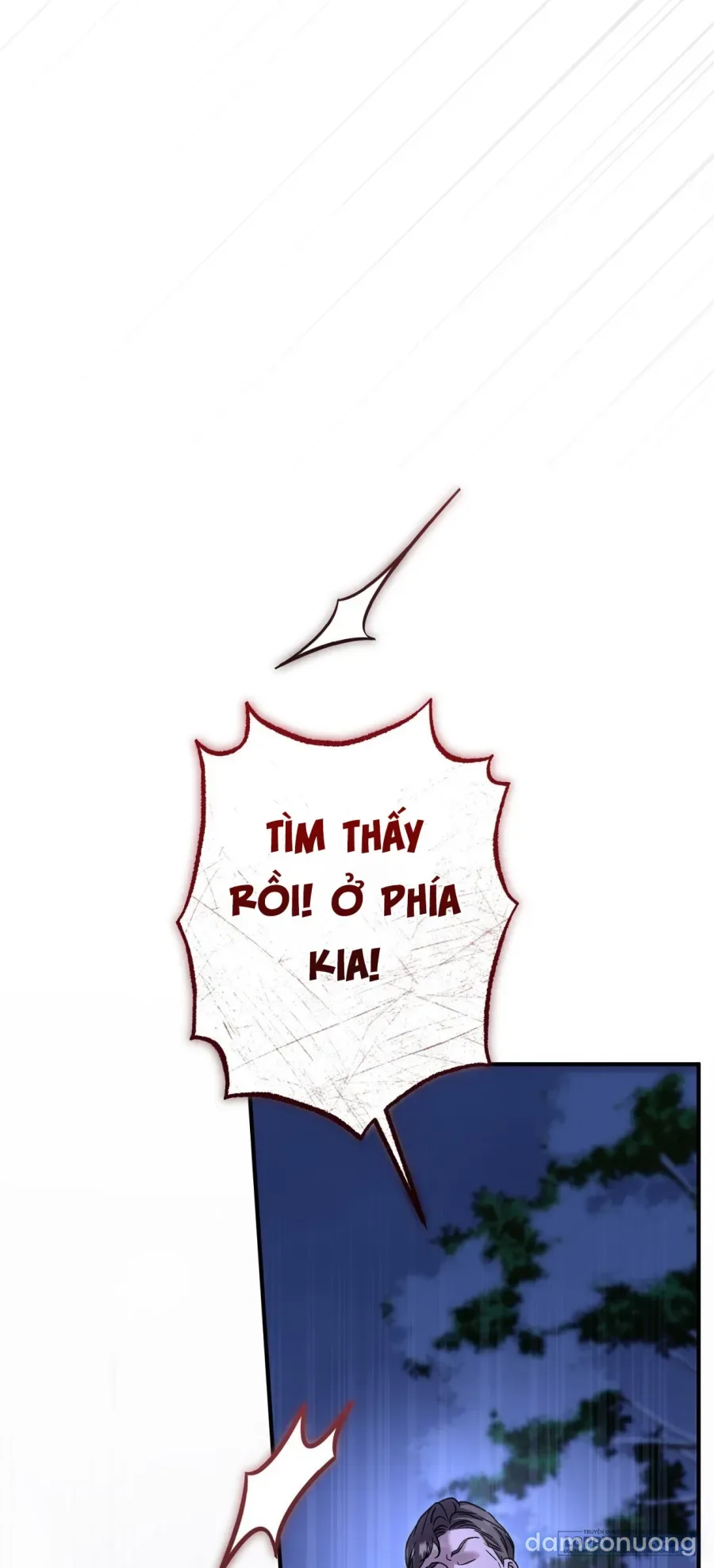 Cô Tiểu Thư Quá Đỗi Tò Mò 