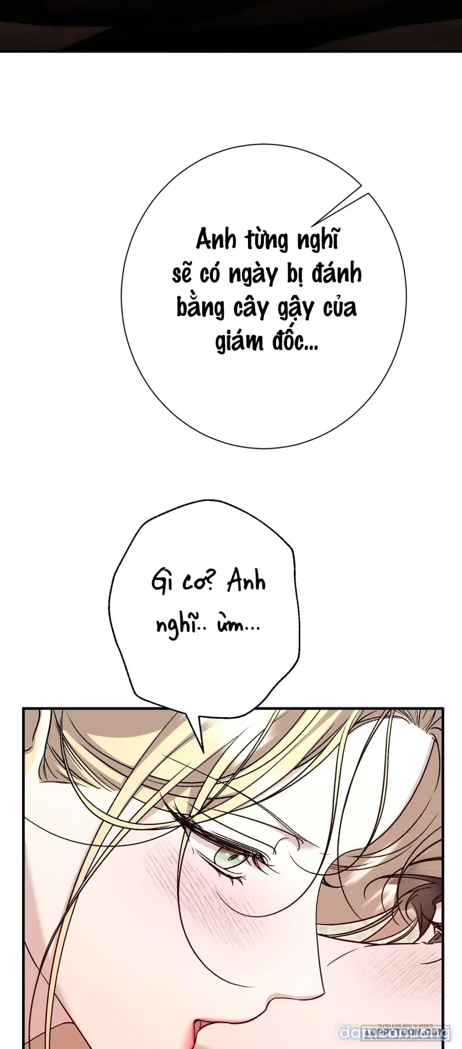 Cô Tiểu Thư Quá Đỗi Tò Mò 