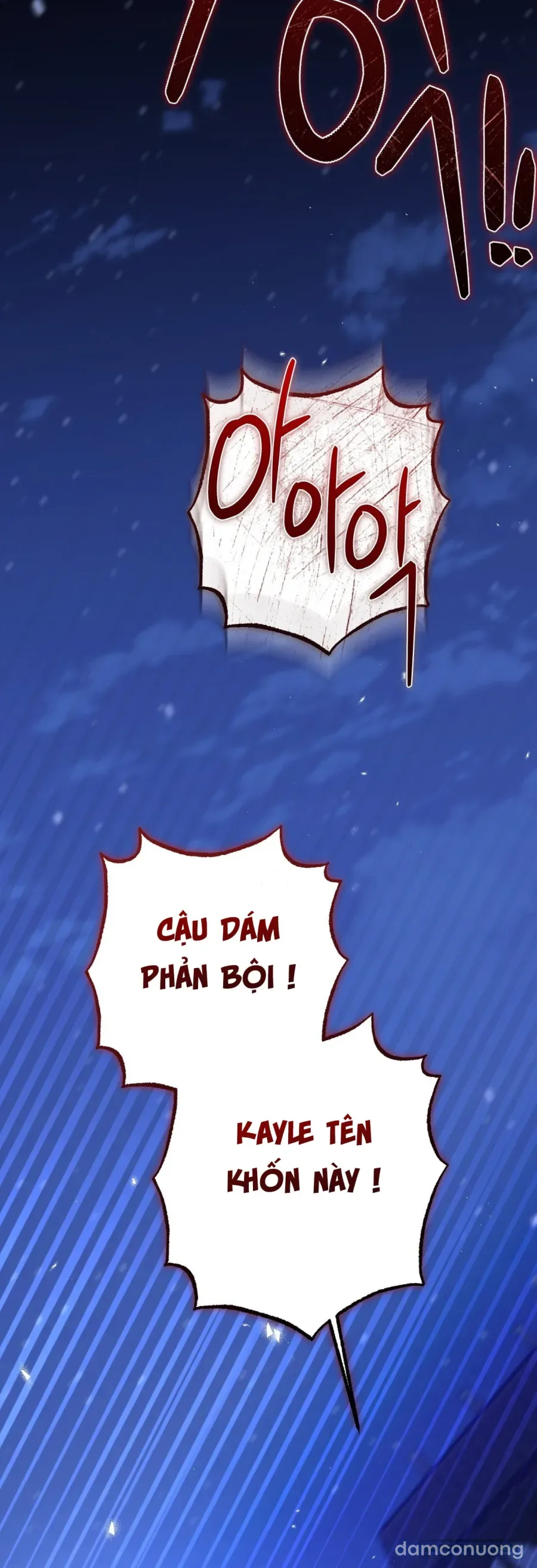 Cô Tiểu Thư Quá Đỗi Tò Mò 