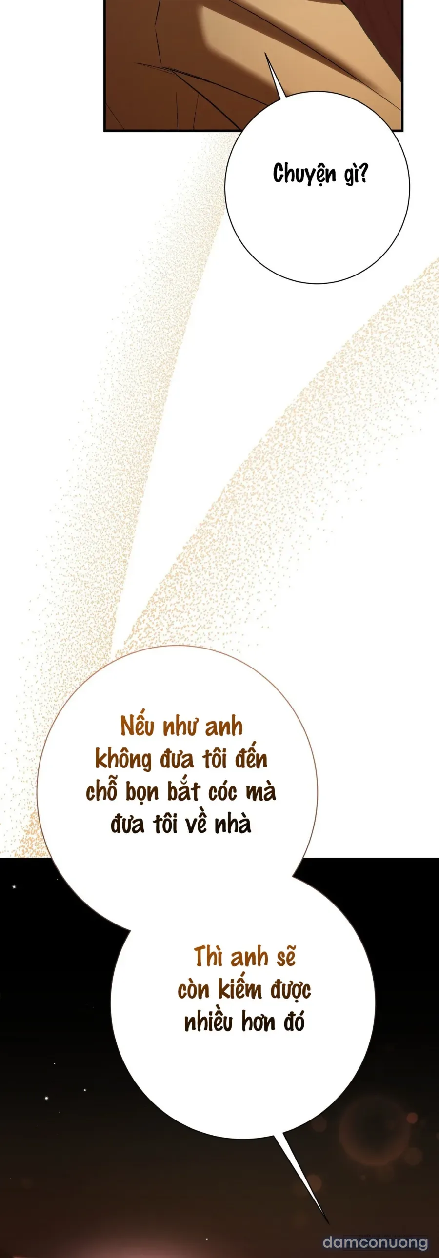 Cô Tiểu Thư Quá Đỗi Tò Mò 