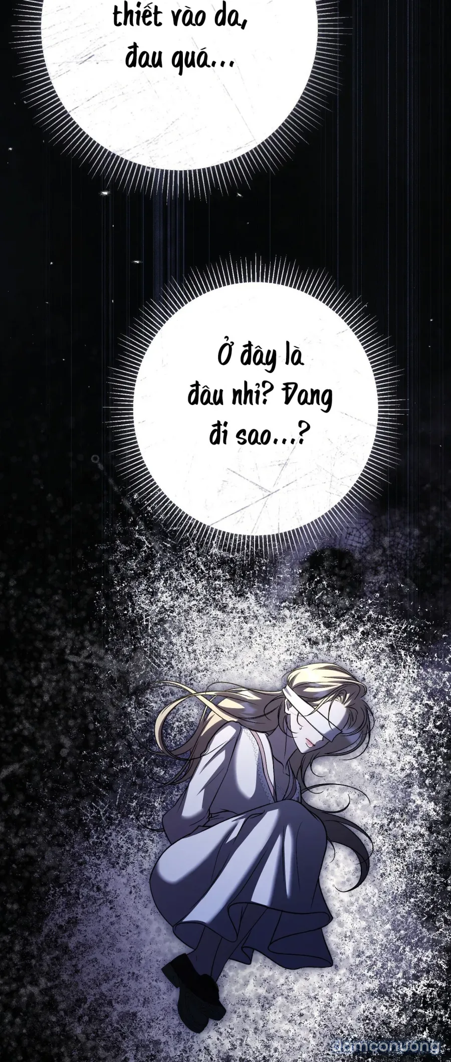 Cô Tiểu Thư Quá Đỗi Tò Mò 