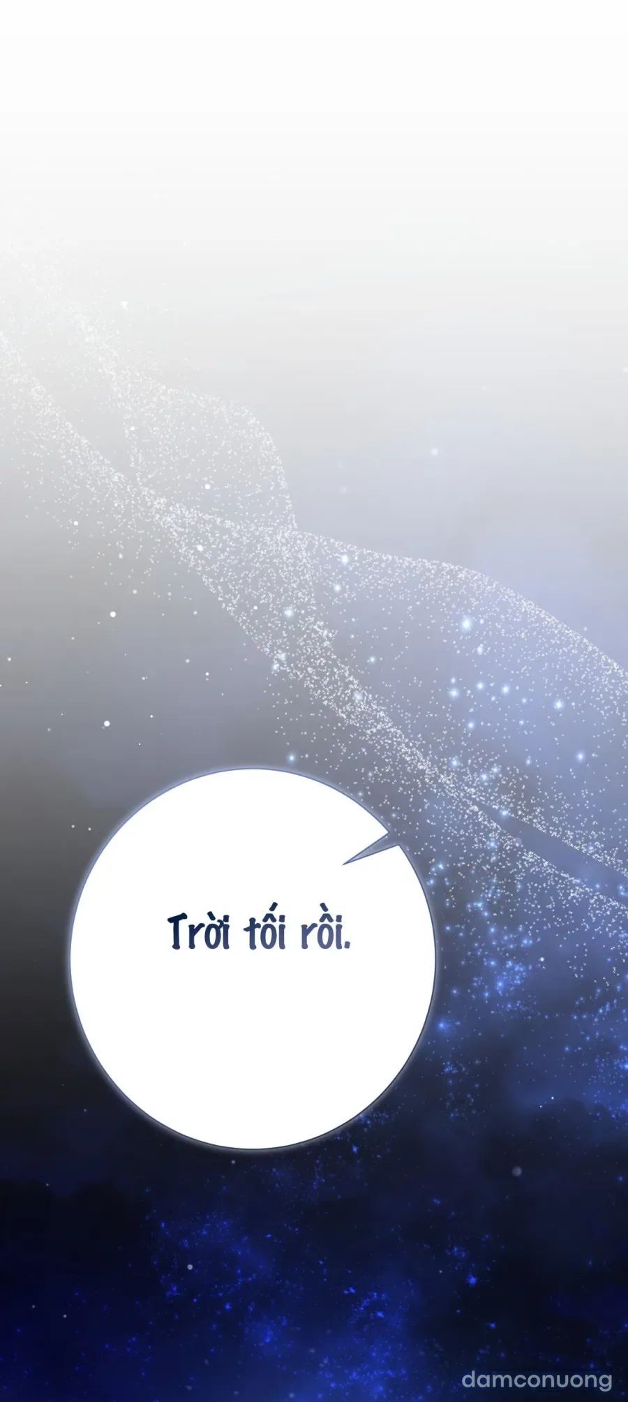 Cô Tiểu Thư Quá Đỗi Tò Mò 