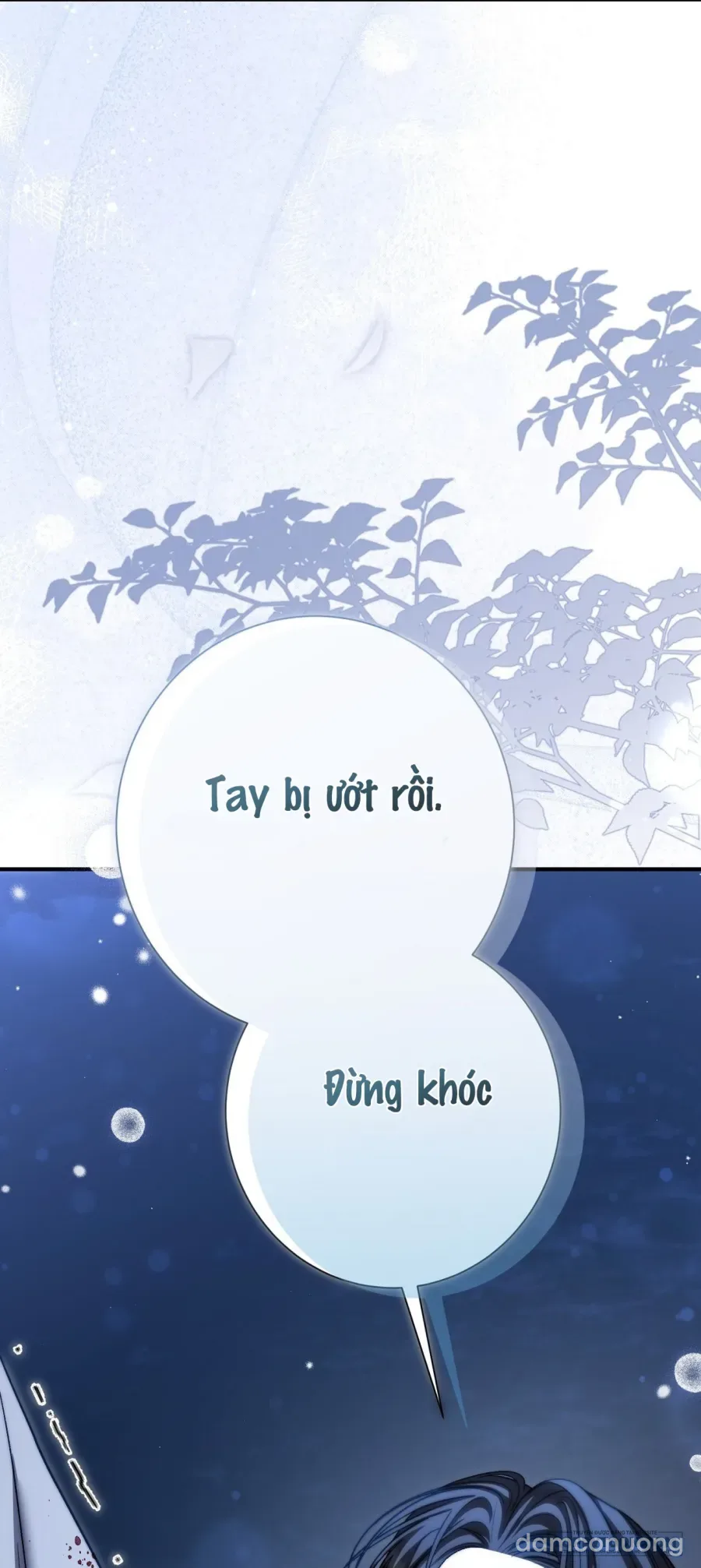 Cô Tiểu Thư Quá Đỗi Tò Mò 