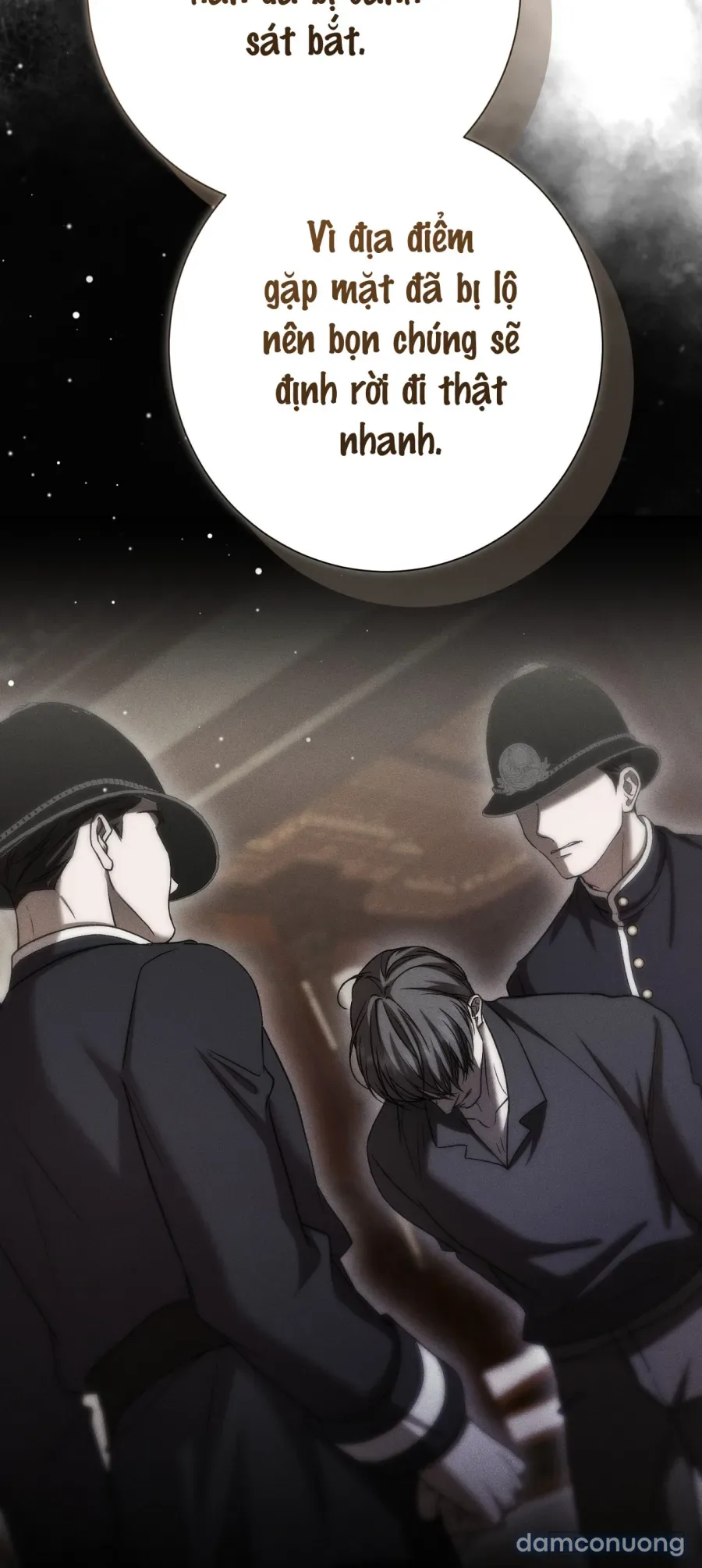 Cô Tiểu Thư Quá Đỗi Tò Mò 