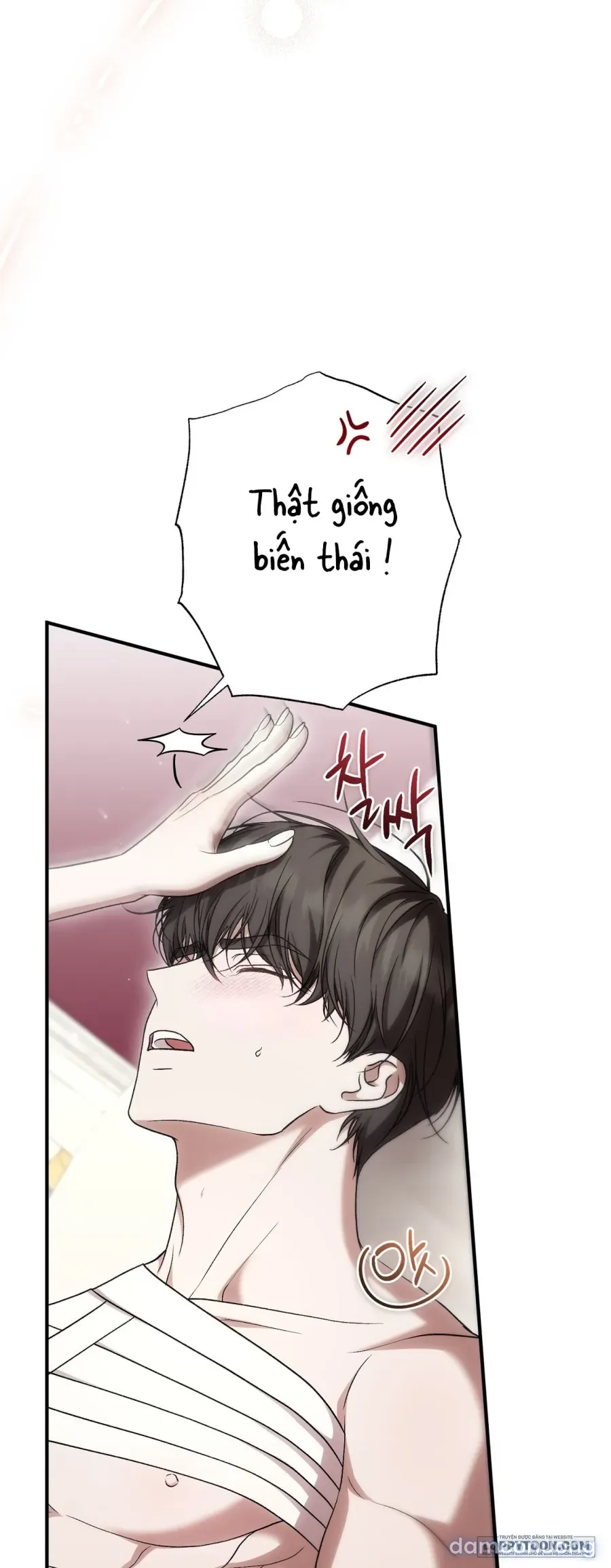 Cô Tiểu Thư Quá Đỗi Tò Mò 