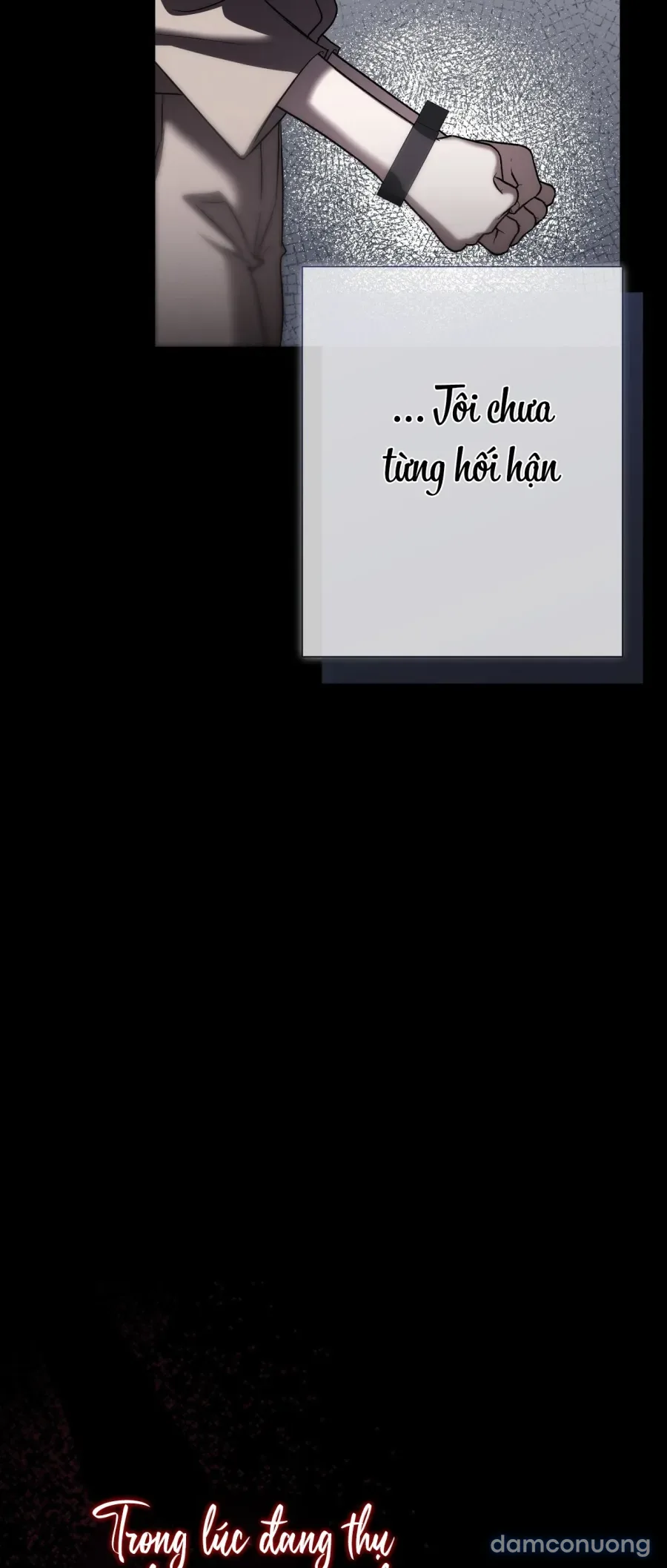 Cô Tiểu Thư Quá Đỗi Tò Mò 