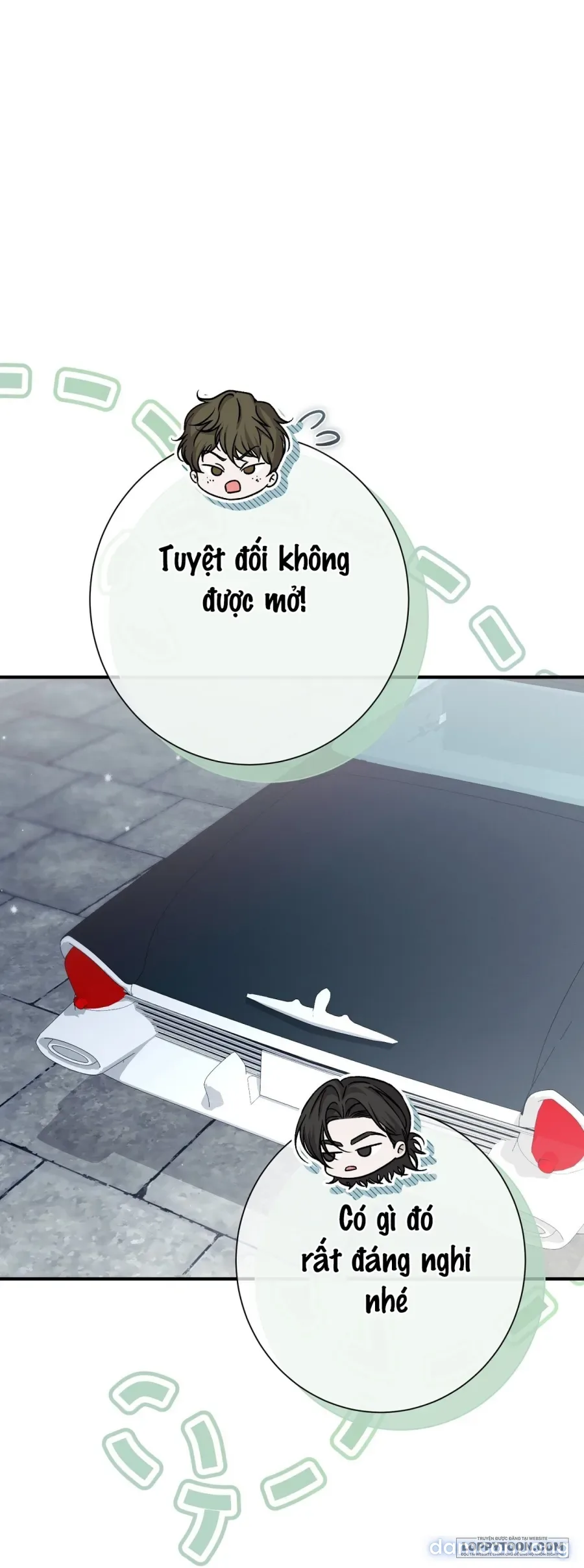 Cô Tiểu Thư Quá Đỗi Tò Mò 