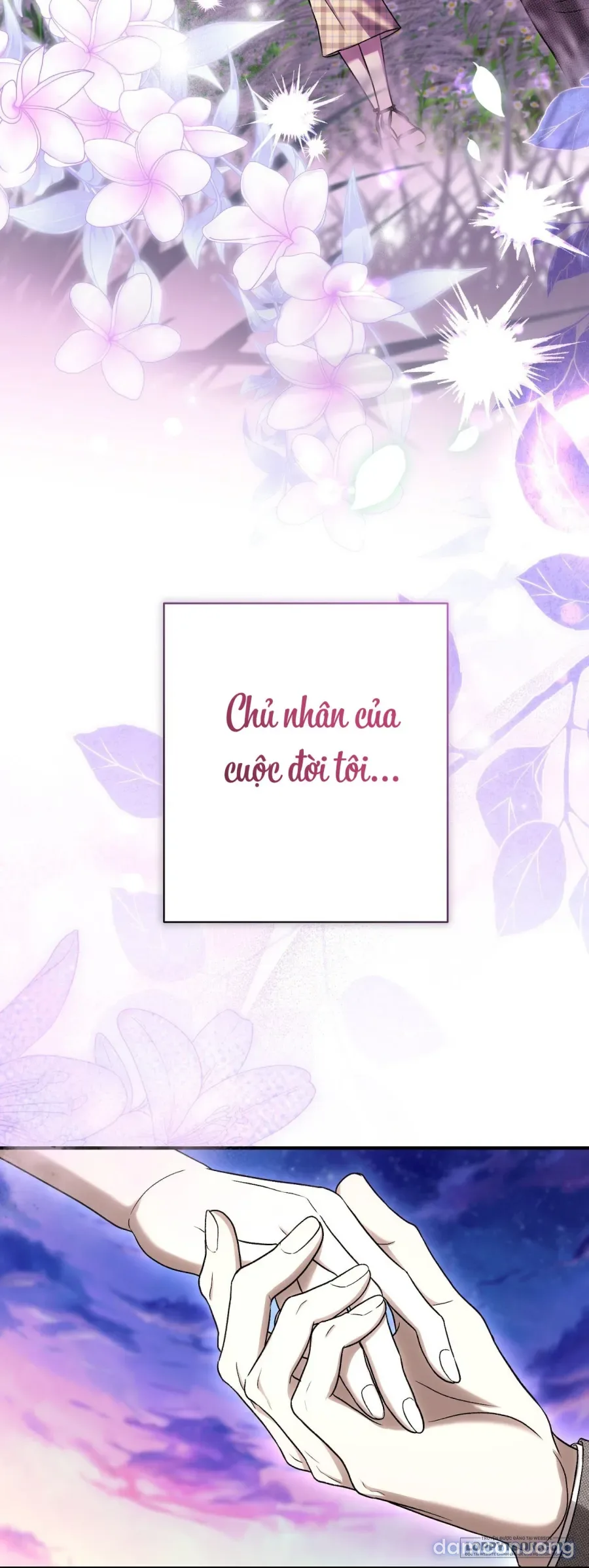 Cô Tiểu Thư Quá Đỗi Tò Mò 