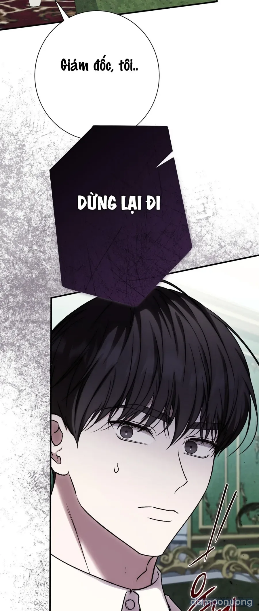 Cô Tiểu Thư Quá Đỗi Tò Mò 