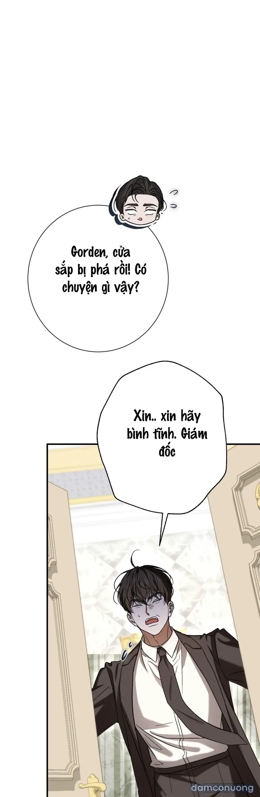 Cô Tiểu Thư Quá Đỗi Tò Mò 