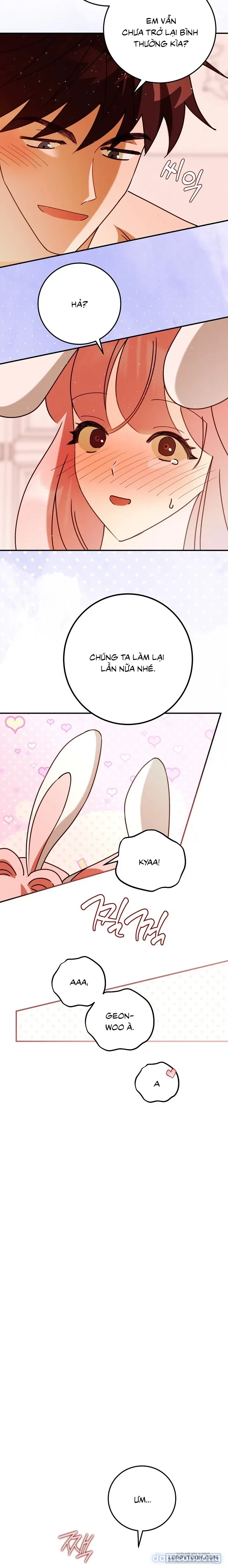 Bunny On! 