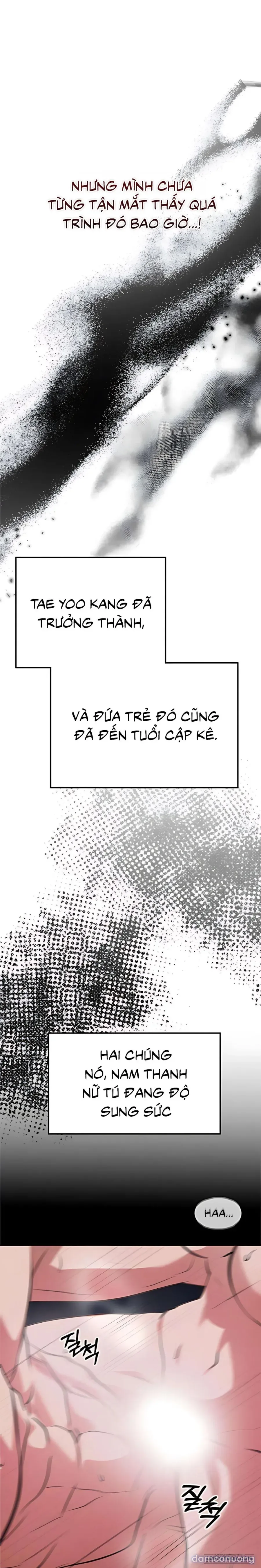 Tiêu Bản 